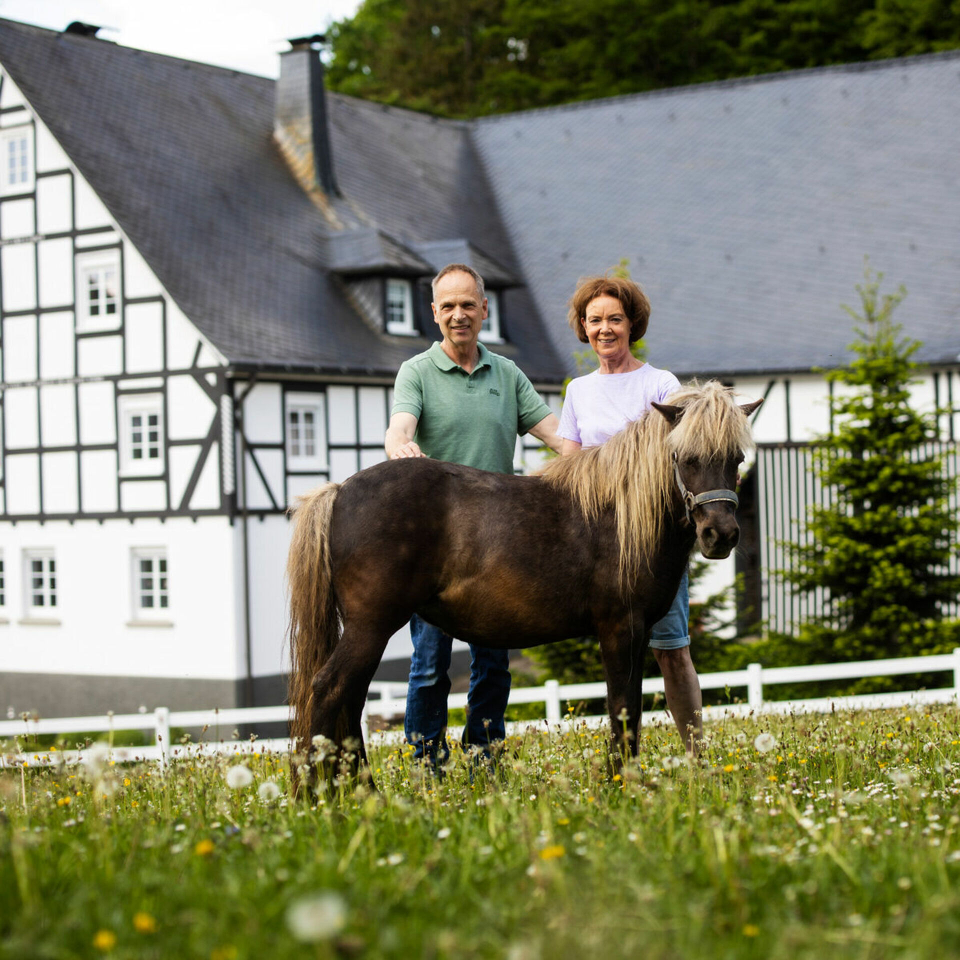 Gastgeber mit Pferd auf Wiese