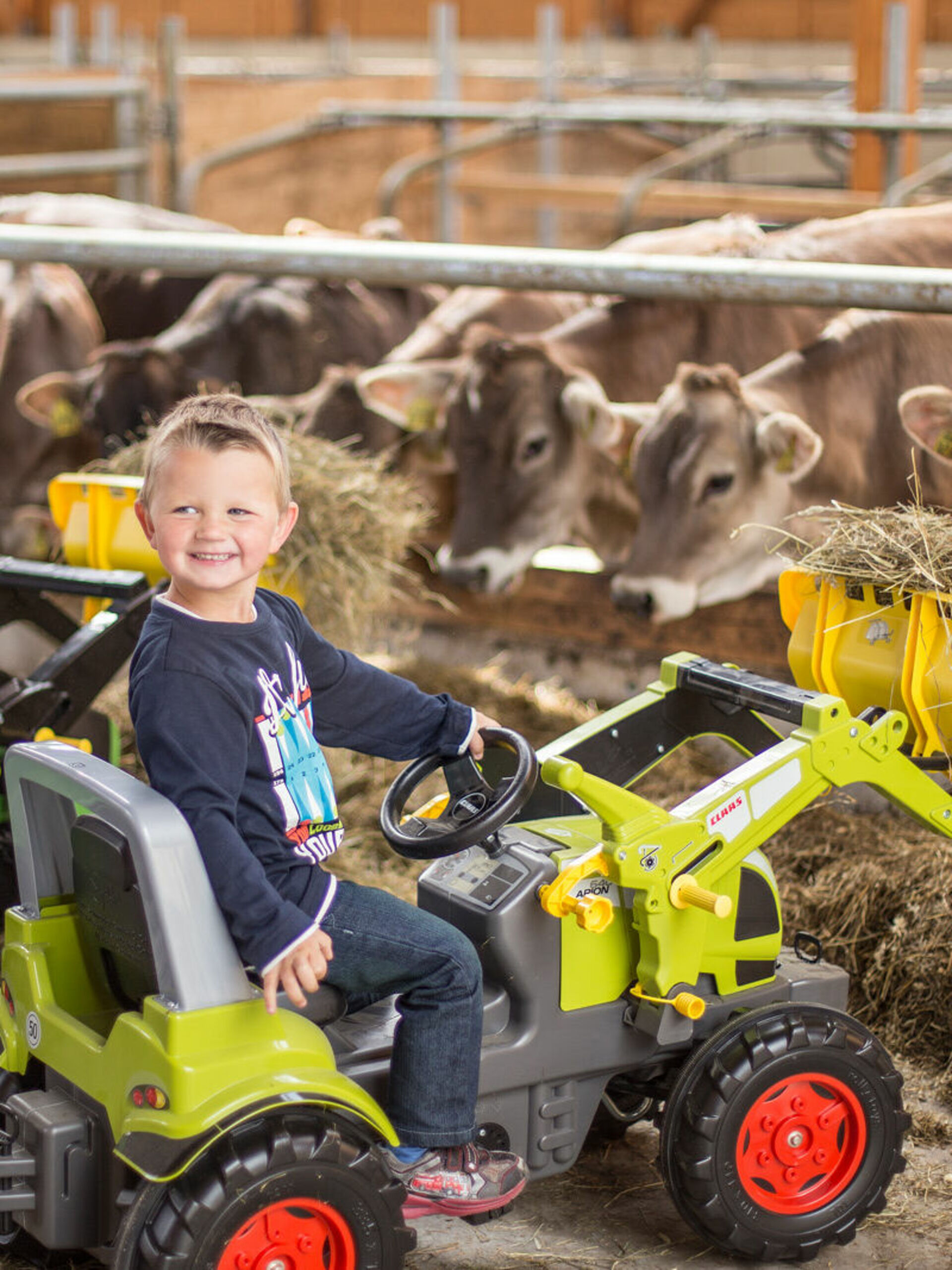 Kinder helfen bei der Fütterung der Kühe auf dem Ferienhof Belke-Spork im Schmallenberger Kinderland.