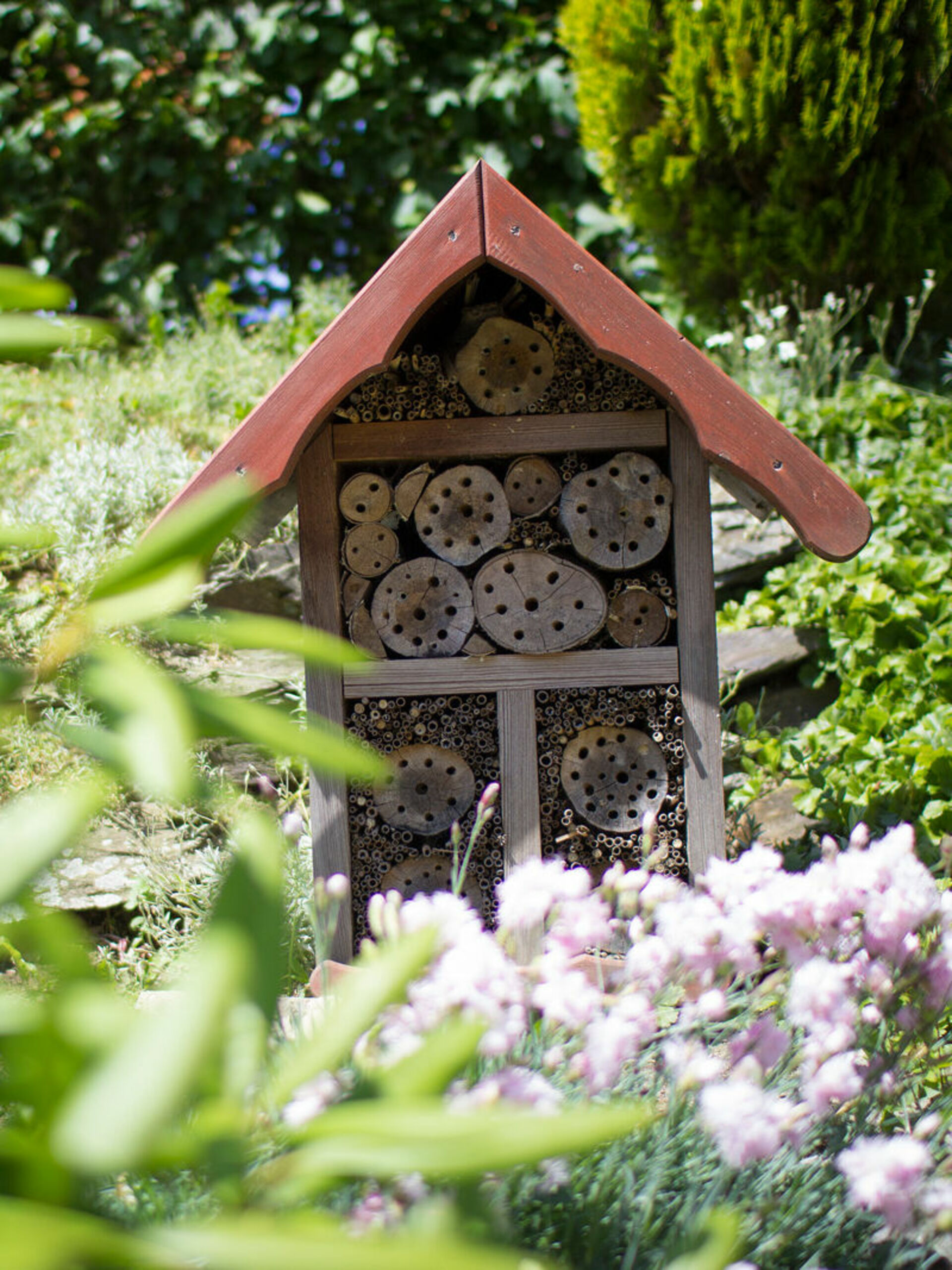 Blühender Garten mit Bienenhaus auf dem Berghof Steimel im Schmallenberger Kinderland.