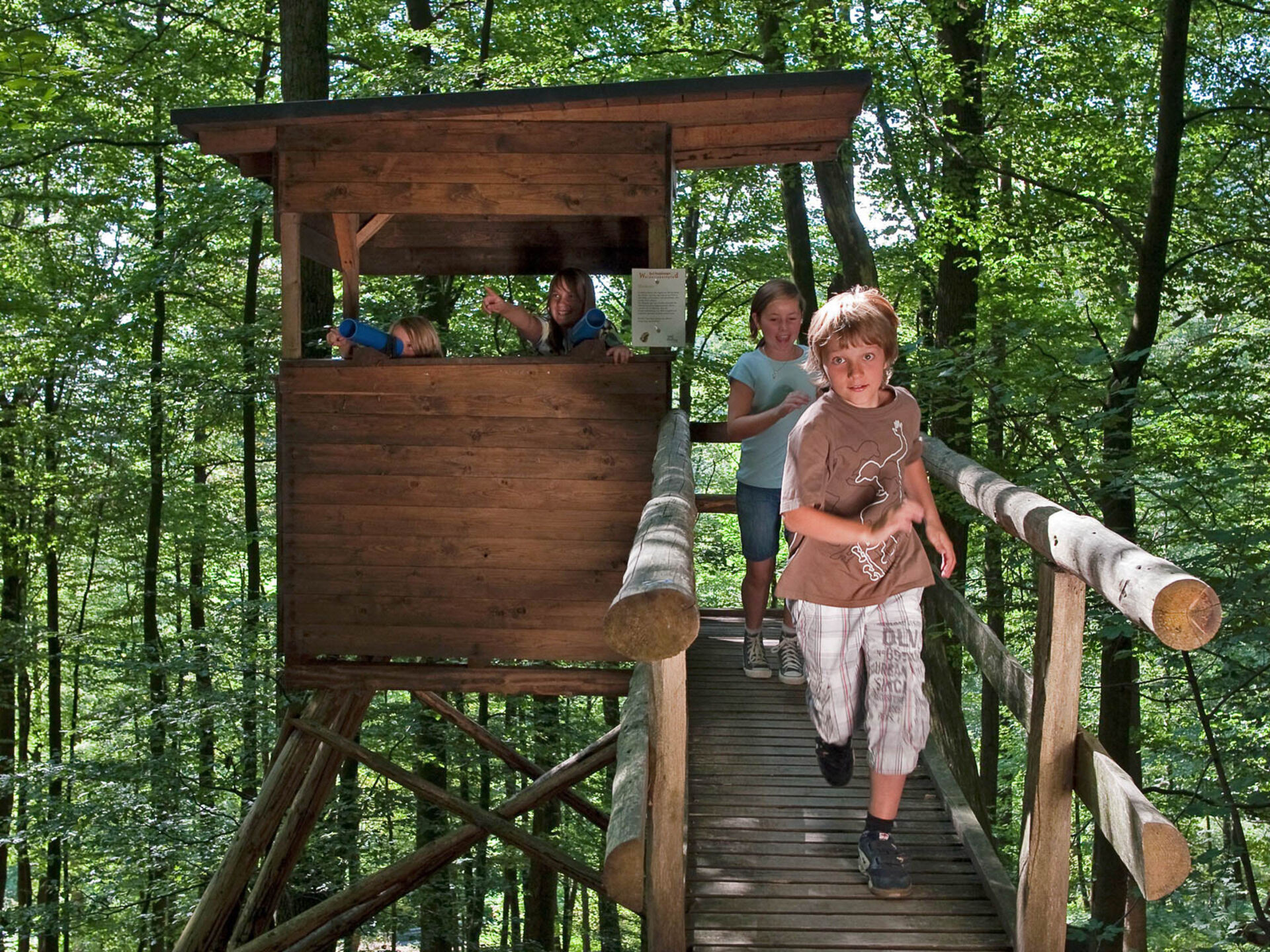 Kinder auf dem Walderlebnispfad in Bad Fredeburg im Sauerland