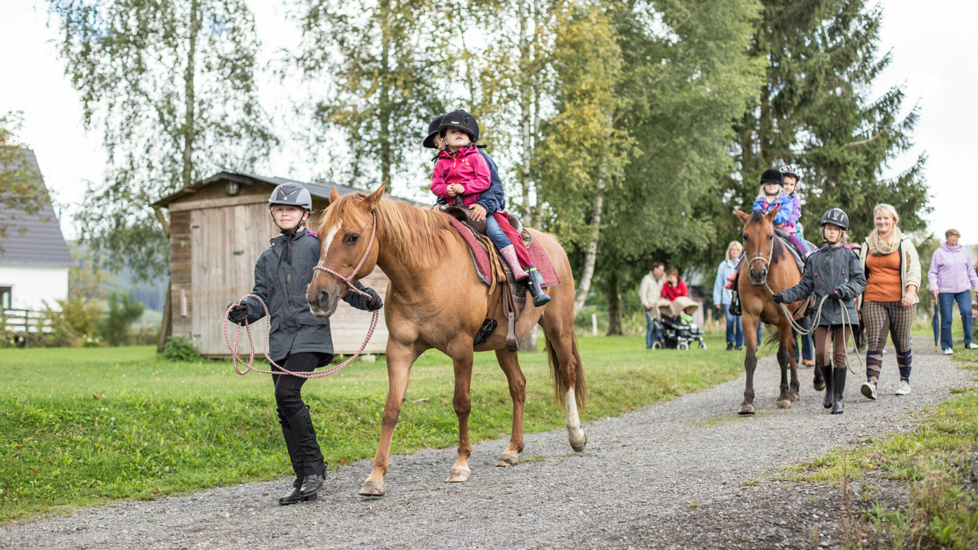 Reiten Birkenhof