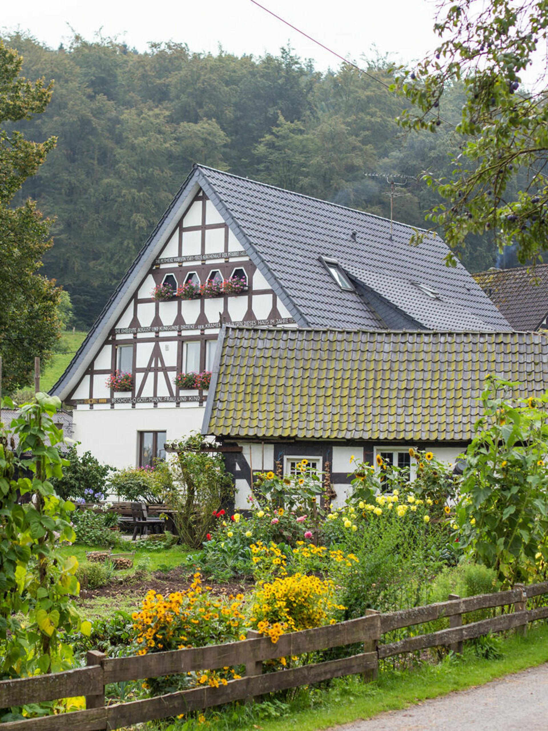 Ferienhof Richard Blick auf den Ferienhof Richard in Lennestadt - Grevenbrück im Sauerland.